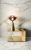 Calacatta Oro – Smooth
